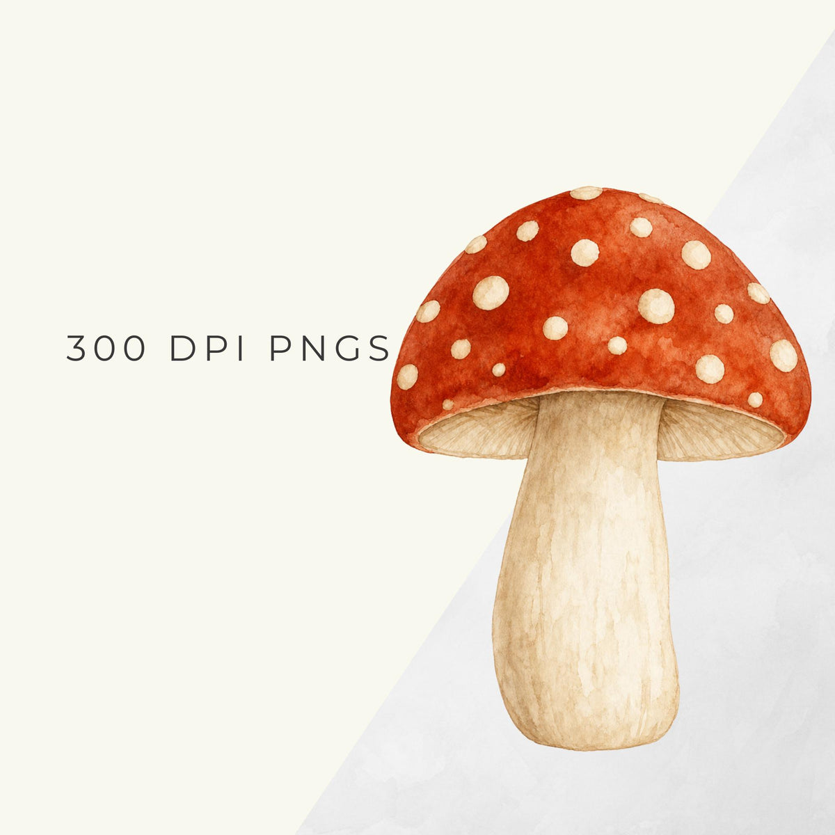 Fall boho watercolor clipart pack, preview 2 of 9